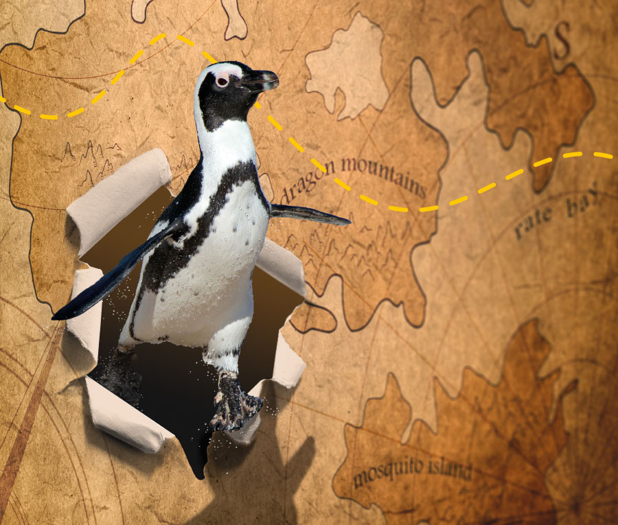 Le long voyage du pingouin vers la jungle - spectacle musical jeune public de la compagnie l'Arsenal d'apparitions, d'après la pièce de Jean-Gabriel Nordmann
